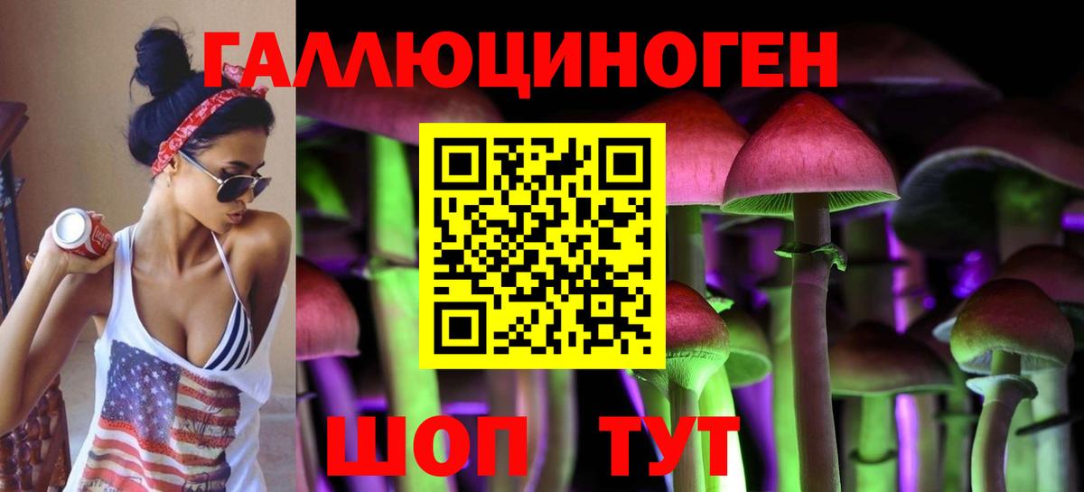 Псилоцибиновые грибы Psilocybe Сызрань